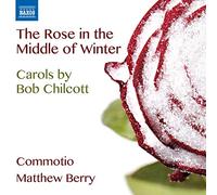 Rose in The Middle of Winter