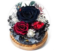 Rose Noire Éternelle sous Cloche avec Lumière - Fleurs Préservées dans son Écrin Cadeau - Idée Cadeau pour Femme, Maman, Grands-Mères, Petit-ami - Noël, Saint-Valentin, Fête des Mères, Anniversaire