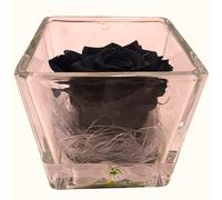 Rose Noire PRÉSERVÉE - Cube en Verre - Rose Noire éternelle Naturelle préservée - Fleur éternelle - Cadeau Original