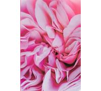 ROSE&PAPER Garden Layout Planner - Graph-Grid Notebook for Raised Beds, Plant Spacing & Seasonal Garden Design (2026 Collection - Rose No. 5): ... gardens, flower beds, and backyard layouts