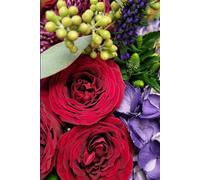 ROSE&PAPER Garden Layout Planner - Graph-Grid Notebook for Raised Beds, Plant Spacing & Seasonal Garden Design (2026 Collection - Rose No. 24): ... gardens, flower beds, and backyard layouts