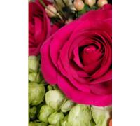 ROSE&PAPER Garden Layout Planner - Graph-Grid Notebook for Raised Beds, Plant Spacing & Seasonal Garden Design (2026 Collection - Rose No. 16): ... gardens, flower beds, and backyard layouts