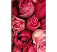 ROSE&PAPER Garden Layout Planner - Graph-Grid Notebook for Raised Beds, Plant Spacing & Seasonal Garden Design (2026 Collection - Rose No. 3): ... gardens, flower beds, and backyard layouts