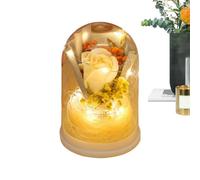 Rose préservée, bouquet de fleurs avec dôme en verre, 15 x 10,5 cm, fleurs infini avec lumière, décoration de cadeau romantique, décoration d'anniversaire dans un style élégant, de Noël pour