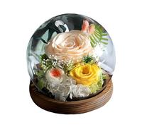 Rose préservée cadeau, cloche en verre 14 cm, base en bois, couleur champagne romantique, fleurs séchées, fait main, avec carte, pour la Saint Valentin, Noël, remise de diplôme, cadeau pour elle