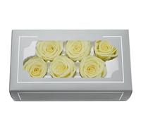 Rose préservée de qualité A de 5 à 6 cm, roses éternelles naturelles de première qualité, rose immortelle qui dure de 3 à 5 ans pour les cadeaux de fête des mères, de Saint-Valentin, d'anniversaire
