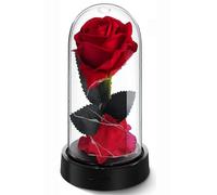 Rose Rouge En Soie Et Lumière Led Avec Pétales Tombés - Cadeau D'anniversaire
