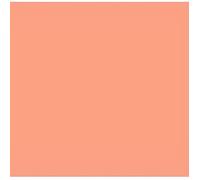 Rose Saumon 037 / 835 Pot de Peinture 17ml