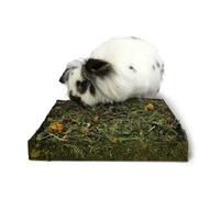 Rose-wood Naturel Nibble N DIG Meadow Pissenlit et Blossom Plateau à friandises Lapins cochons d'Inde