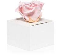 RoseAmor Pink rose stabilisée dans une boîte 1 pcs