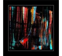 Bertus – Roseaux