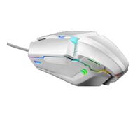 ROSEEONNE Souris Gamer Souris de Jeu Optique Filaire 1600 DPI, 4 Boutons, éclairage RVB, molette inclinable, Noire Classique sans Fil Souris(Wit)
