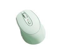 ROSEEONNE Souris Gamer Souris sans Fil 2,4 GHz, Portable, for PC, Ordinateur Portable, Windows, Bureau, clé USB sans Fil Incluse sans Fil Souris(Groen)