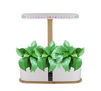 RoseFlower Système de Culture hydroponique à 10 dosettes, Mini Serre Interieur avec LED Grow Light, Potager Interieur, Système De Culture Hydroponique Minuterie Automatique (Blanc)