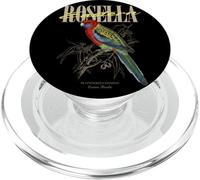 Rosella Oriental Vintage Observation des Oiseaux Art Nature Amour Oiseaux PopSockets PopGrip pour MagSafe