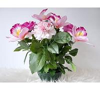 Roselynexpress Composition de Fleurs Artificielles Lesté Ciment pour Une Parfaite Tenue à L' extérieur. Réalisé par nos Soins, Les Fleurs sont Aussi de Qualité.