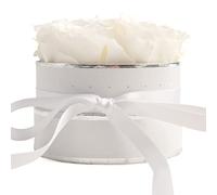 ROSEMARIE SCHULZ Heidelberg Boîte Ronde de Roses éternelles stabilisées idée Cadeaux pour Femmes pour Toutes Occasions (Blanc-Blanc)