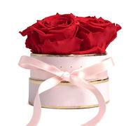 ROSEMARIE SCHULZ Heidelberg Boîte Ronde de Roses éternelles stabilisées idée Cadeaux pour Femmes pour Toutes Occasions (Rose-Rouge)