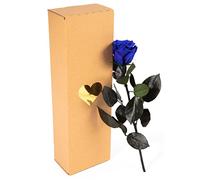 ROSEMARIE SCHULZ Heidelberg Rose éternelle Bleue avec Tige - Fleur eternelle longuer 30-35cm - Fleur Naturelle préservée au Parfum Rose (Bleu)