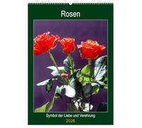 Rosen - Symbol der Liebe und Verehrung (Wandkalender 2026 DIN A2 hoch), CALVENDO Monatskalender: Rosenkalender - das besondere Geschenk