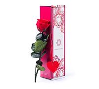 Rosen-Te-Amo, cadeau pour maman | Rose éternelle édition Saint-Valentin avec tige (27 cm) dans un coffret cadeau || Femme d'anniversaire de fleur éternelle | Idée cadeau pour maman, Noël