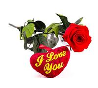 Rosen-Te-Amo - Rose Éternelle Rouge Avec Tige (27 cm) et Peluche (9 cm) Dans une Boîte Cadeau Raffiné | Fleur Éternelle en Coffret | Cadeau Fête des Grand-Mères et Mamans