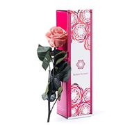 Rosen-te-amo Rose préservée, véritable rose, rose durable, aussi connue sous le nom de rose impérissable, rose conservant sa beauté et sa vivacité naturelle pendant 3 ans sans eau 56 cm Rosa