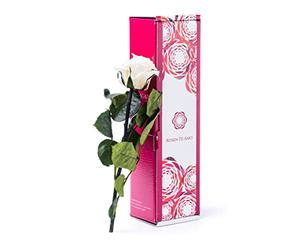 Rosen-te-amo Rose préservée, véritable rose, rose durable, aussi connue sous le nom de rose impérissable, rose conservant sa beauté et sa vivacité naturelle pendant 3 ans sans eau 28 cm champagne