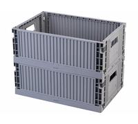 Rosenstein & Söhne 2 caisses de rangement pliables 43 x 29,5 x 16 cm