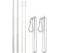 Rosenstein & Söhne 2 pailles télescopiques en Acier Inoxydable avec goupillons et étuis