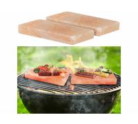 Rosenstein & Söhne 2 plaques de sel pour grillades