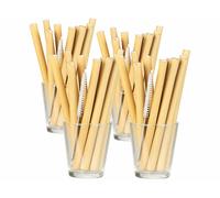Rosenstein & Söhne 48 pailles en bambou 13cm réutilisables avec brosse de nettoyage