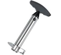 Évide ananas en acier inoxydable G