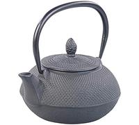 Rosenstein & Söhne Théière Asiatique en Fonte 0,9 Litre