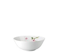 Rosenthal 61040-414124-13321 Saladier Porcelaine Multicolore 21 cm