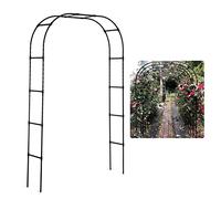 Roseraie ES, pergola en métal pour Plantes grimpantes, Cadre de Support pour Plantes de 2,4 m de Haut pour pelouse extérieure, décoration de Mariage, Balcon int