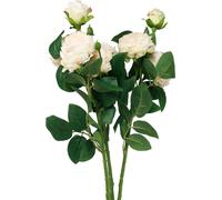 Roses artificielles crème 53cm, set de 3 - Fleurs décoratives en dry look, roses artificielles pour l'art floral d'automne