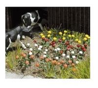 Roses Busch 8105 kit N 1 set G