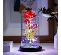 Roses métalliques colorées Petite lampe de table verticale chambre et salon belle décoration Night Light switch control pour les proches, les amis et les enfants