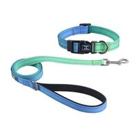 Roses&Poetry Bluegreen Ensemble collier et laisse pour chien de taille moyenne - Laisse réfléchissante avec colliers - Laisse assortie réglable et durable pour chiens de taille moyenne (bleu-vert) - M