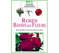 Roses reines des fleurs