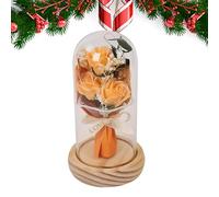 Roses sous verre - Roses dans des dômes en verre, fleurs conservées à la main | . Roses rouges, cadeaux pour les mères, Saint-Valentin, anniversaires, anniversaires, décoration intérieure romantique