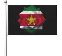 Roses Ukraine Ukrainienne Drapeau Maison Avec Œillets Drapeau De Cour Décoratif Bannières 90X150Cm Pour Chambres Plage Vacances