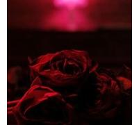 Roses Vinyle Rouge et Noir