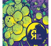 Rosetta Flies To Flames (CD)