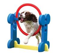 Rosewood Anneau d'Agility pour Petits Chiens
