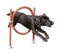 Rosewood Anneau de Saut d'Agility pour Chiens