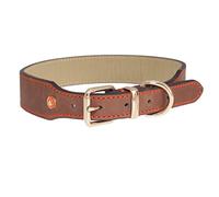 Rosewood Collier en Cuir Marron, 45,7 À 55,9 Cm pour Chien