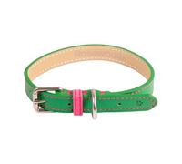Rosewood Collier pour Chien en Cuir végétalien - Collier réglable en Cuir synthétique pour Grands Chiens - Collier élégant et Durable avec matériel en métal - Vert/Rose, 55,9 à 66 cm
