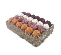 Rosewood Cupid & Comet Plateau à truffes pour petits animaux 100 % naturel pour cochons d'Inde, lapins, hamsters, rats, souris et gerbilles